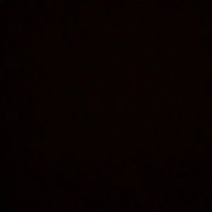 Meet your Posher, Phylicia